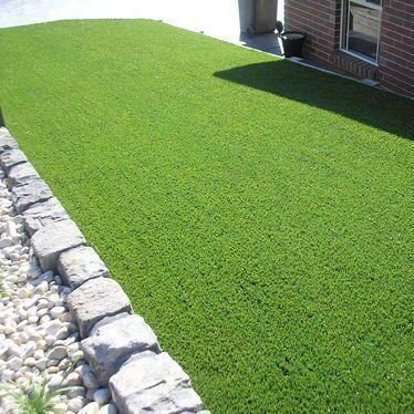 مصنوعی پلانٹ