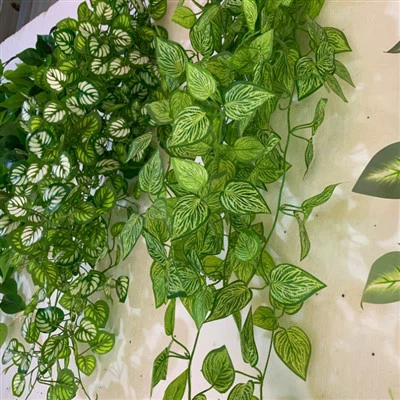 مصنوعی پھانسی والے پودے